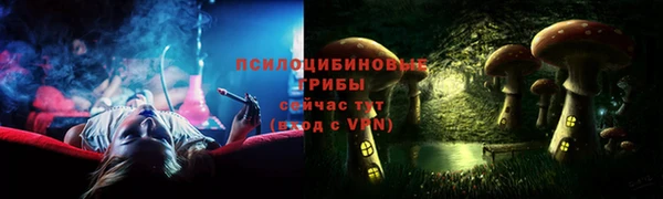 Альфа ПВП Богородск