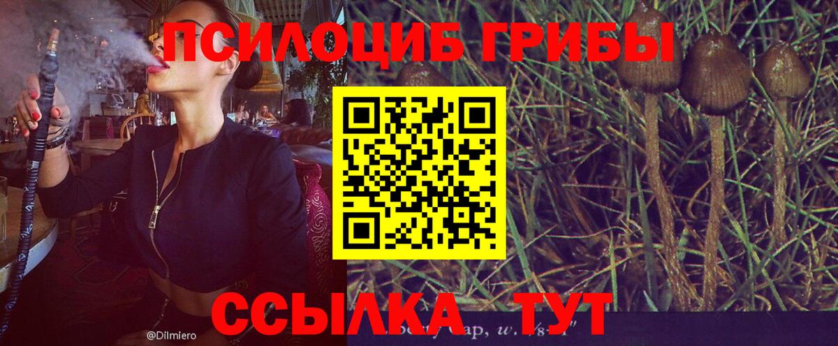 Псилоцибиновые грибы ЛСД Воскресенск